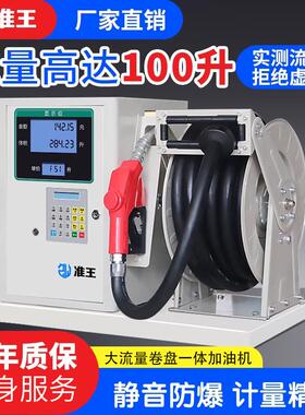 准王加油机柴油12V24V220V设备大流量全自动汽油防爆小型车载静音