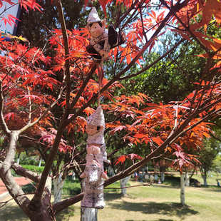 饰树脂工艺品挂件 微型花园挂件家居装 新款 大号侏儒攀爬3小人