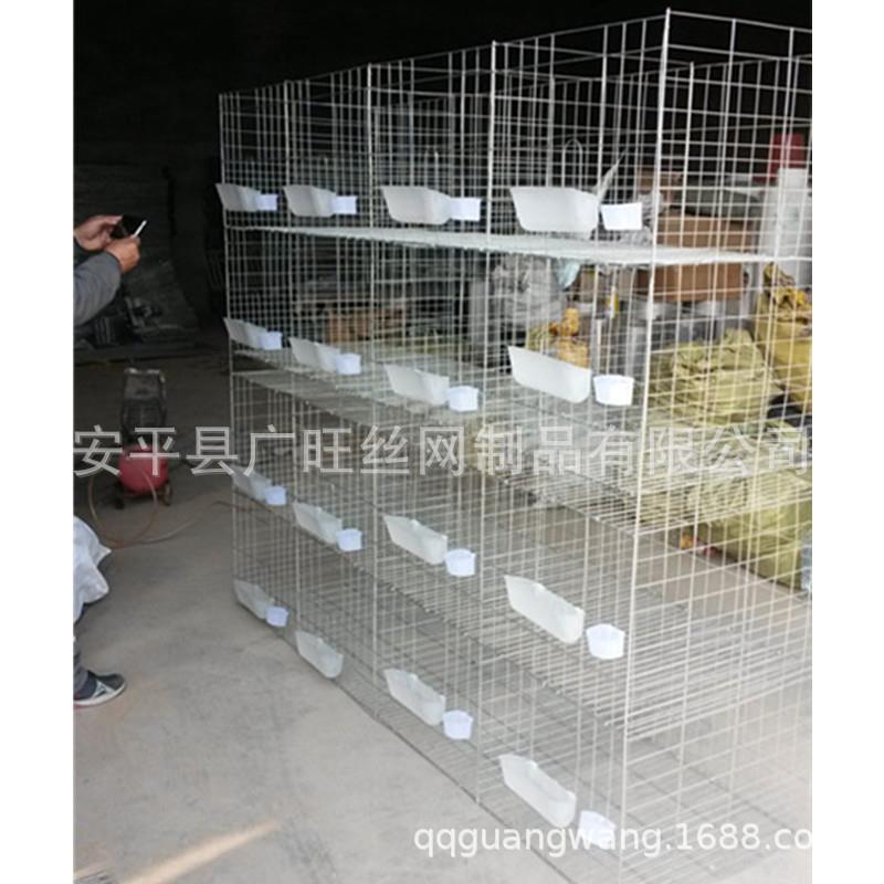 广旺丝网鸽笼4层16位加粗鸽笼鸽笼全套配件电镀锌铁丝鸽笼