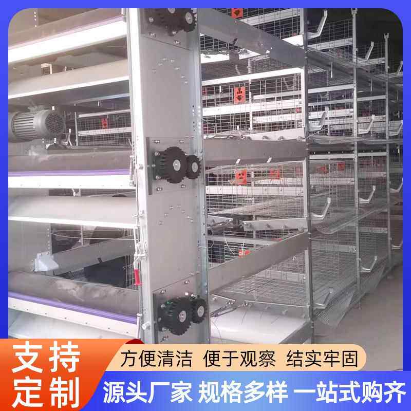 大叠式蛋层鸡笼自动化蛋鸡养场殖设备小层叠鸡笼加养PFP粗加密鸡