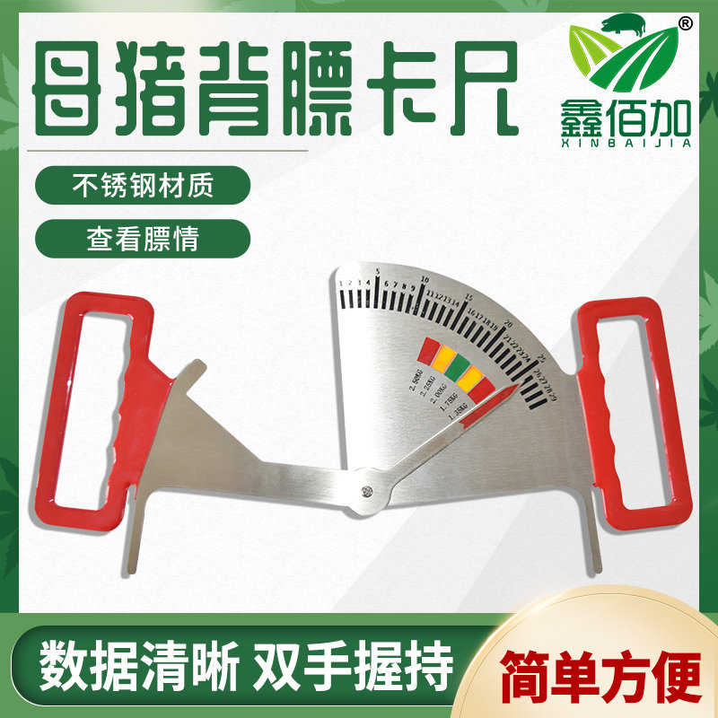 母猪背膘卡尺猪饲喂尺不锈钢妊娠母猪背膘尺养猪用膘情测定指导器