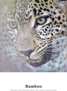 ah0nemuehHle哈内姆勒290克竹纤维术艺喷墨纸Ba290克mboo29gA4/A2