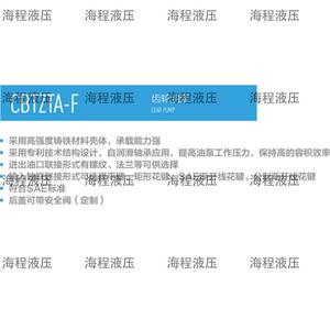 CBTZTA-F系列齿轮油泵单联泵C齿轮泵