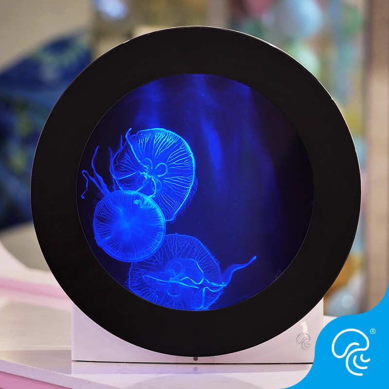 专业水母缸小型鱼缸水族箱活体家庭观赏桌面晶海水母缸定制款C7