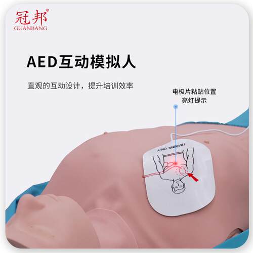 心肺覆苏模拟人人工呼吸医学用假人心脏覆苏急救训练人体教学模型
