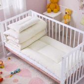 儿童午睡被子小宝宝春秋被子夏季 空调被幼儿园纯棉被芯被褥夏凉被