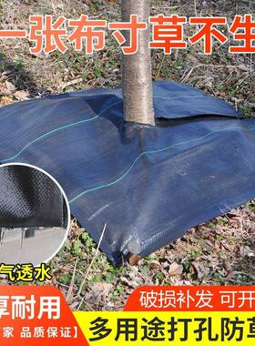 新品防布草农VOV除草布抗老化园艺地布裁片打孔切片用盖透草气透