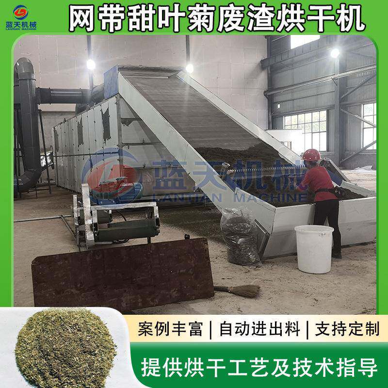 网带甜叶菊废渣烘干机 甜叶菊糖厂提炼渣脱水干燥机 甜茶渣烘干机