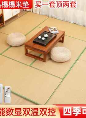 日式棕榻椰米垫子电ESZ61794加塌塌米电热炕垫踏踏热米地垫榻床垫