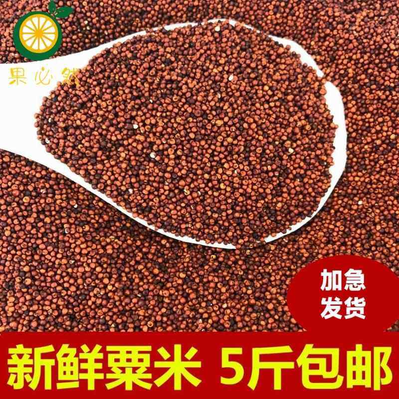 广西粟米粒龙爪粟拳头粟米枕头鸭脚粟米粥鸭脚栗米红色健康粟米粉,粮油调味/速食/干货/烘焙,小米,淘宝优惠券,粉丝福利购,淘宝优惠卷