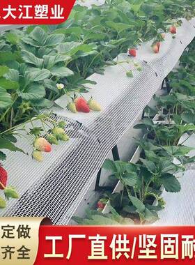 pvc水培管空心100*50工厂直销pvc长方形管白色管子蔬菜管排水管