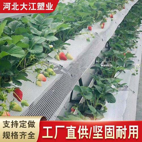 pvc水培管空心100*50工厂直销pvc长方形管白色管子蔬菜管排水管