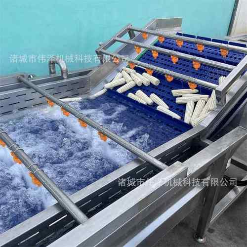 全自动果蔬气泡清洗机枸杞胡萝卜大枣清洗设备净菜清洗机器厂家