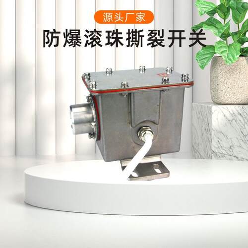 HFZL-B防撕裂闭锁检测器SCPT-200-40防爆型纵向撕裂开关ZLK-I-II