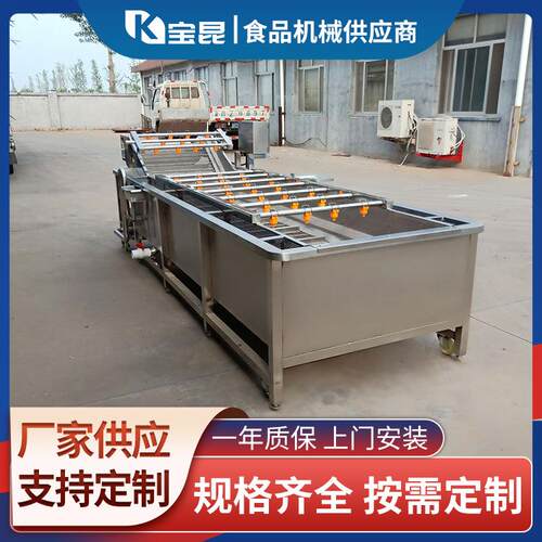 全自动喷淋果蔬气泡清洗机土豆上海青鼓泡洗菜设备小龙虾清洗设备