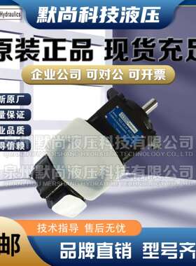 Denison丹尼逊叶片泵T7D或T7DS-B42/14/17/20/24/28/22-1R00-A1M0