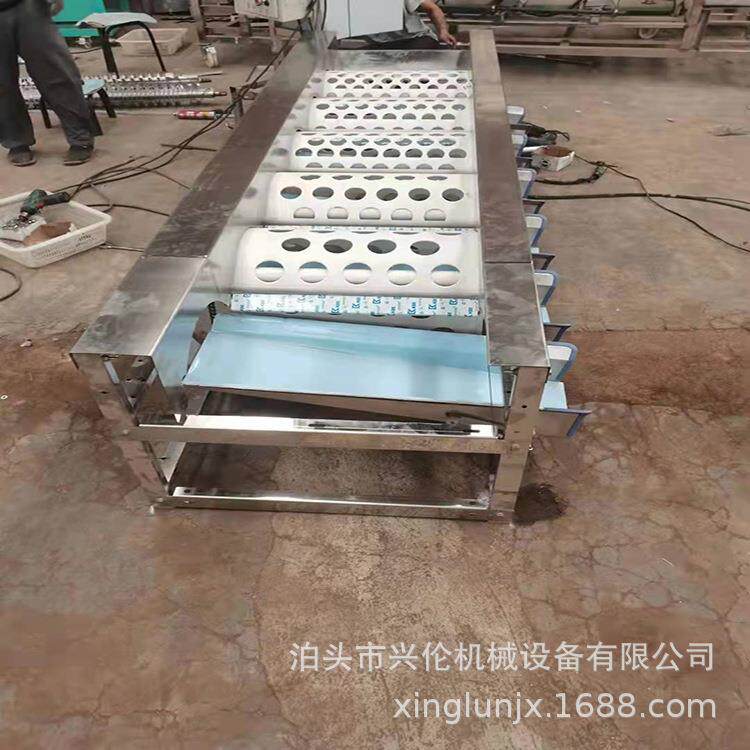砂糖橘选果机 贡柑分果机 椪柑分大小机 家用小型水果分选机