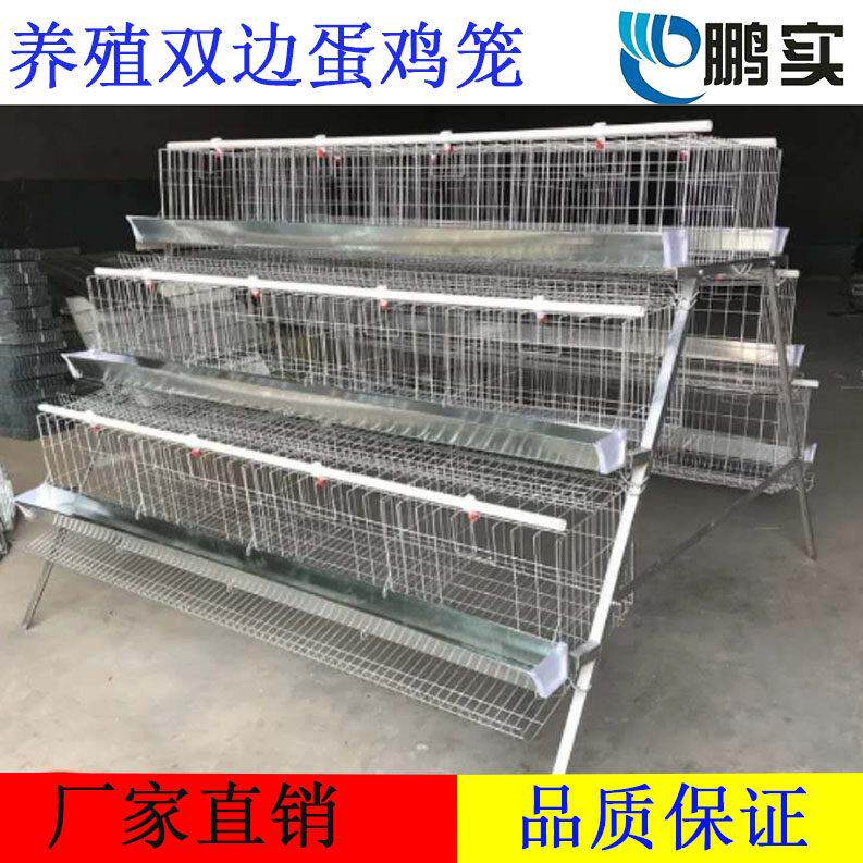 加粗蛋鸡养殖笼鸡笼蛋鸡饲养笼子养殖场生蛋鸡笼家用自动滚蛋鸡笼