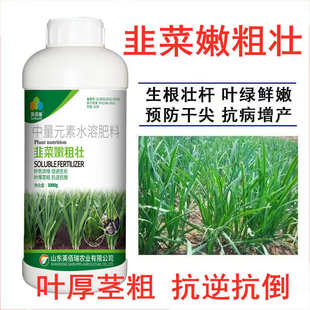 韭菜专用肥嫩发达黑又亮黑粗粗控根系叶片又旺叶面肥剂肥厚壮粗壮