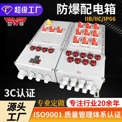 防爆照明动力配电箱检修接线箱仪表正压柜按钮控制开关端子插座箱