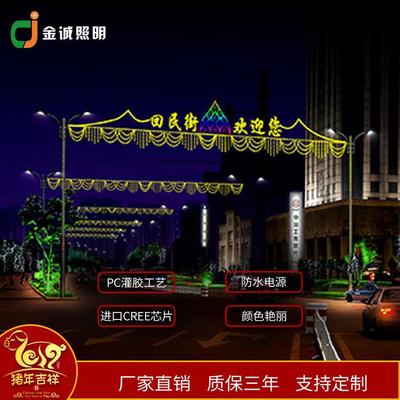 LED灯串灯光节灯光隧道景观公园节日装饰亮化工程彩灯横街灯