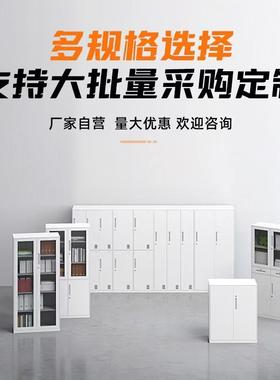 钢柜文件柜办室档FT-35164案柜资料凭证柜收纳铁皮矮制柜带公锁储