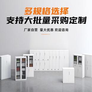 钢柜文件柜办室档FT 35164案柜资料凭证柜收纳铁皮矮制柜带公锁储