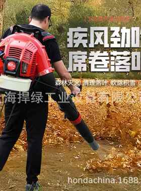 凯姿（KAZZ）KGKPZ9冲90F背负式二风程汽油大功率风力灭机吹树火