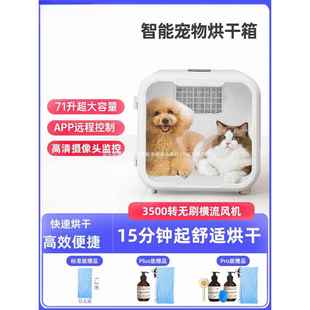 聚宠宠物烘干箱猫咪自动吹水机狗狗吹风烘干机神器家用洗澡烘跃宠