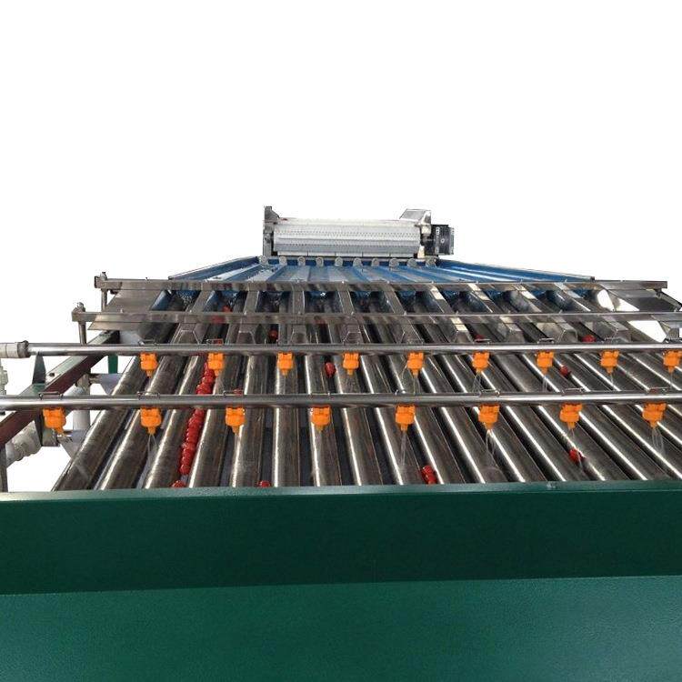 樱桃分拣机蓝莓分级机黄蜜分拣设备不锈钢水果樱珠清洗分选线.