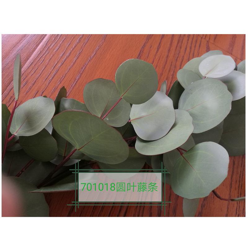 仿真植物尤加利圆叶藤条701018家居插花装饰尤加利叶子植物墙