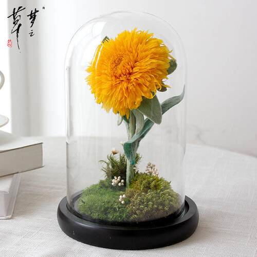新款直销向日葵永生花小王子玻璃罩小清新创意款真花教师节礼物
