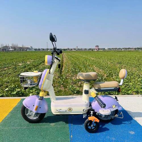 电动车防滑辅助轮新手学车轮支撑轮防盗平衡轮防摔护板挡泥