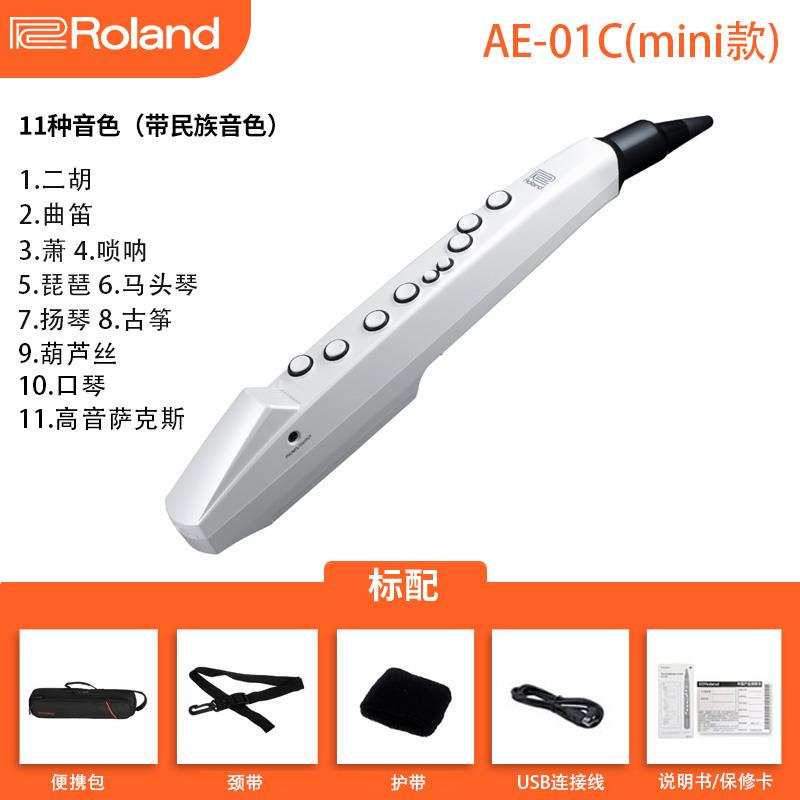 高档Rlaon罗电兰电吹管乐d器AE01娱乐初学ae05/01c子萨克斯葫芦丝