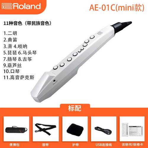 高档Rolan葫d罗兰电管乐器AE01乐初学ae05/娱吹01c电子萨克斯芦丝