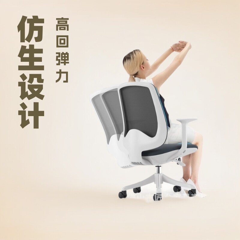 新款创意椅子电脑椅久坐不累家用学习椅书座椅桌椅办公室办公椅