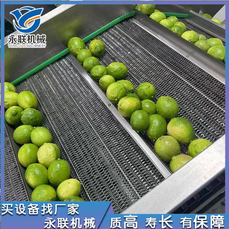 全自动喷淋式清洗机柠檬清洗机青柠加工设备青柠清洗设备