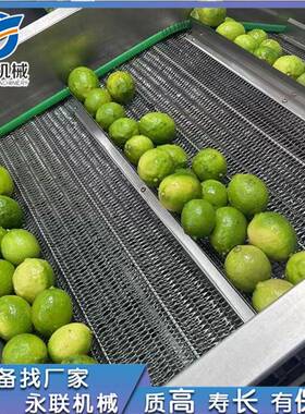 永联全自动喷淋式清洗机柠檬清洗机青柠加工设备青柠清洗设备