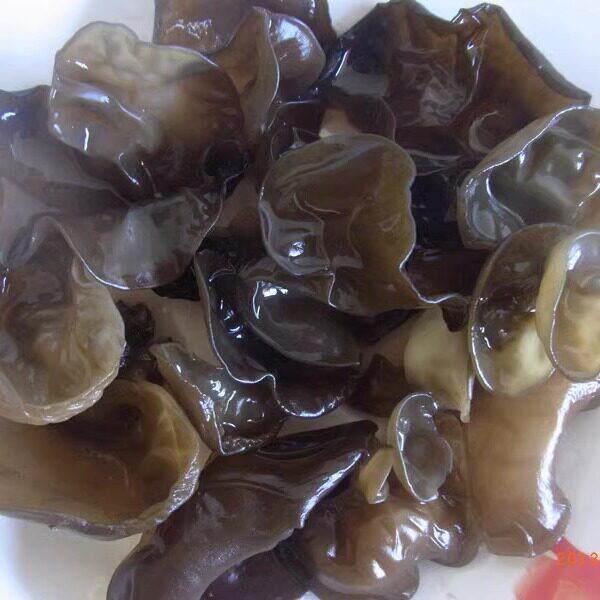 康县木耳甘肃陇南康县土特产椴木青冈木黑木耳春木耳无根干货包邮