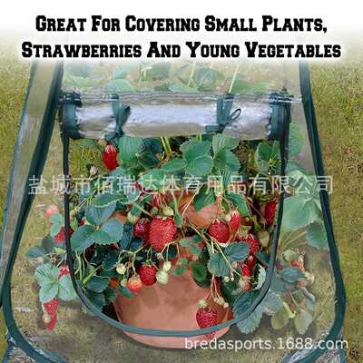 amazon厂家直销pvc可折叠温室暖房迷你花房花园罩种植罩大棚