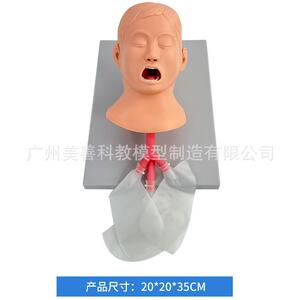 儿童气管插管模型 妇幼护理 护理模型 妇幼技能训练模型15/3