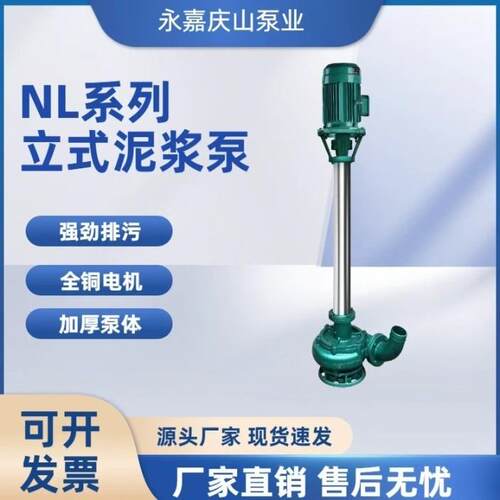 NL150-12立式泥浆泵整机，耐腐污水池淤泥清理腐蚀性介质输送