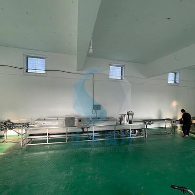 洗蛋机家禽蛋清洗机 养殖场鸡蛋清洗机 多功能多排鸡蛋鸭蛋清洗机