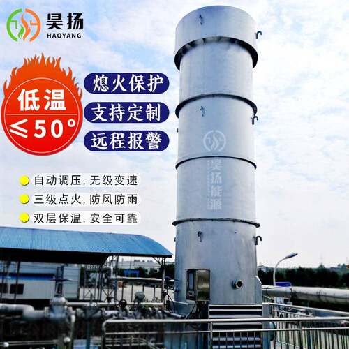 昊扬沼气燃烧火炬内燃式不锈钢火炬垃圾填埋火炬系统