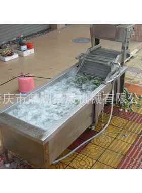 金定工厂供应DH-325泡式自式动气洗QNB菜机不锈钢气泡蔬菜清洗机