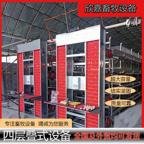 小层叠式全自动化上料喂料清粪捡蛋设备养殖场鸡舍大容量养殖设备