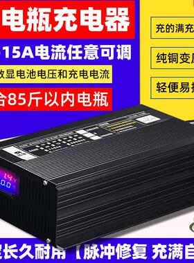 电动三轮车水电瓶充电器蓄电池72V60V48V15A纯铜大功率快速充电机