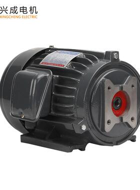 轴径12.5油泵电机YT100L-42.2W配GPYHGP-2A油泵三相电机3HP