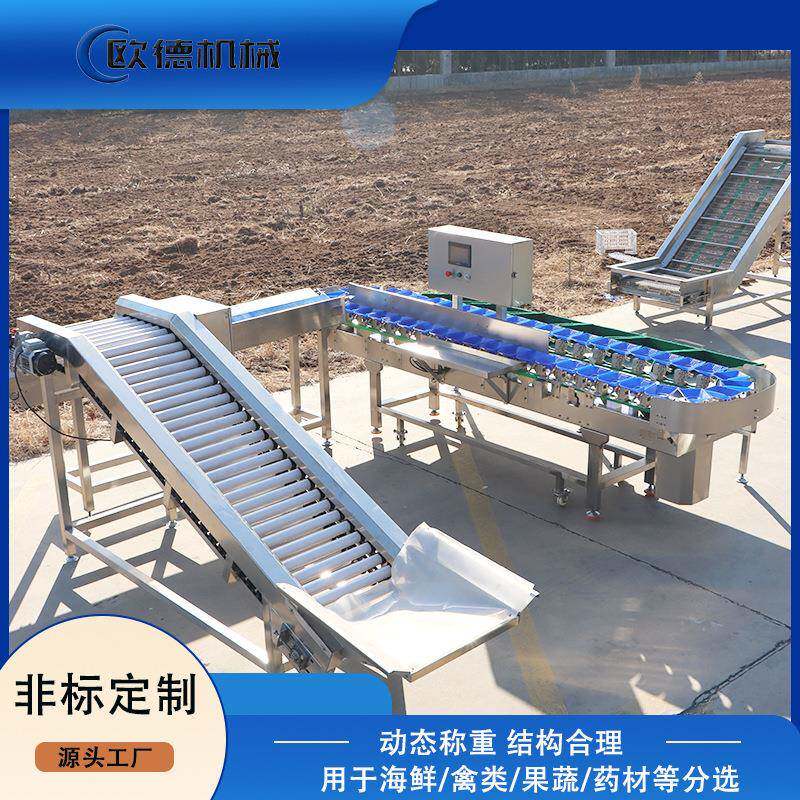 欧德 海鲜重量分选机 厂家定制 料盒小龙虾分级机自动检测级别