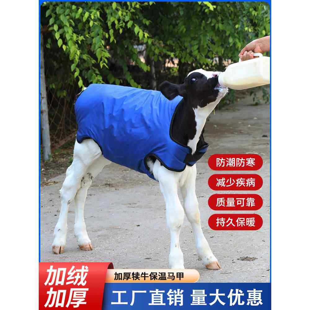 牛犊马甲小牛加厚防寒马甲牛犊子畜牧防寒衣/保暖衣/